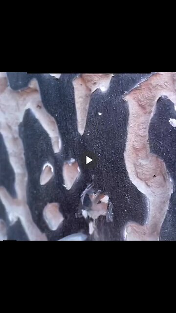 Making art from ruins… Beautiful.