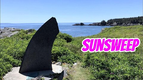 Eagle At Sunsweep on Ragged Point #shorts #motovlog #supertenere