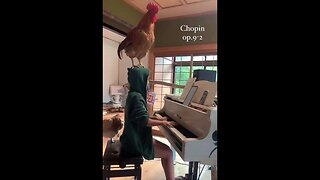 This Is What I Came To The Internet For