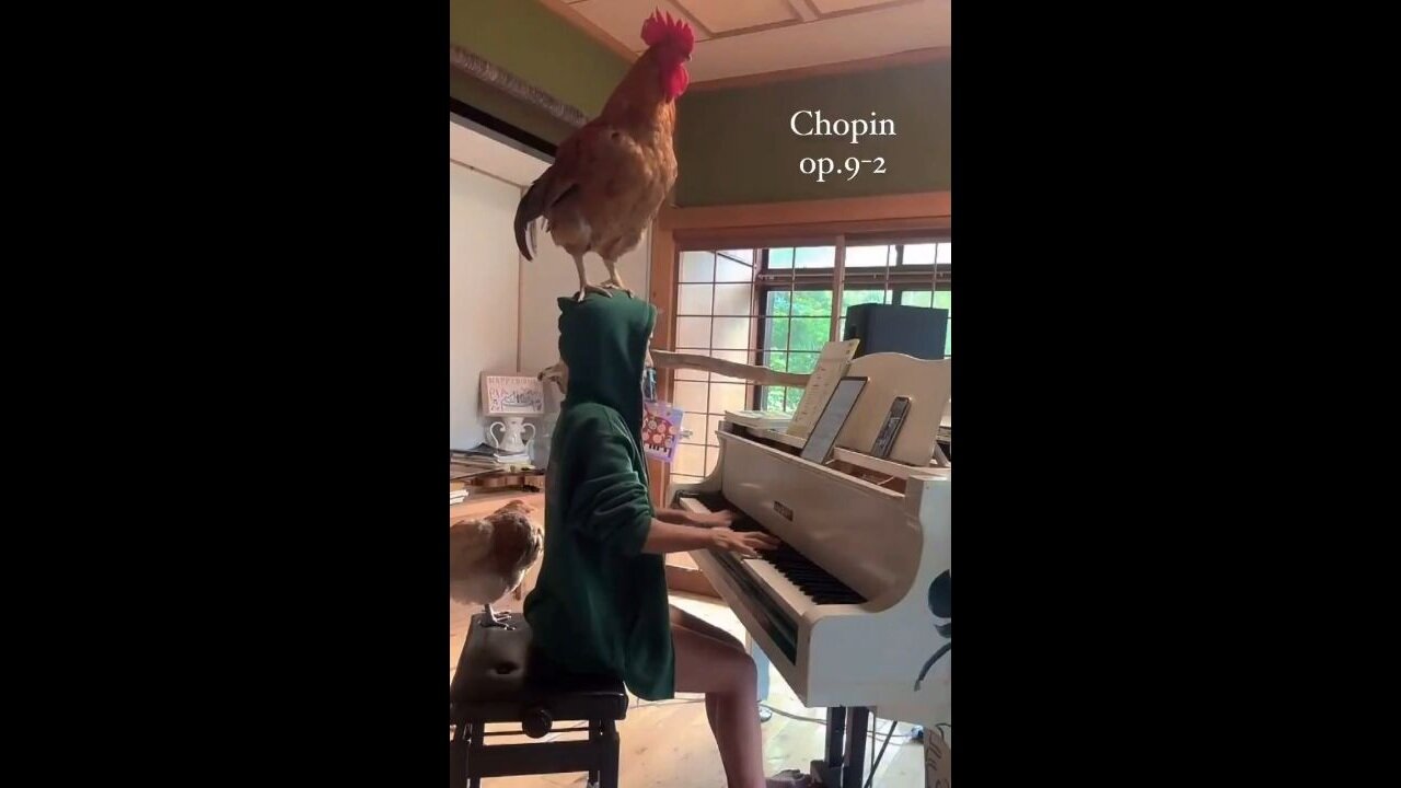 This Is What I Came To The Internet For