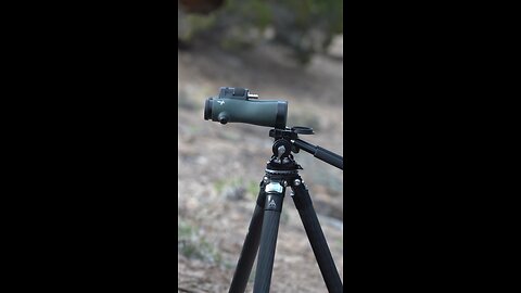 Swarovski NL Pures / game changing