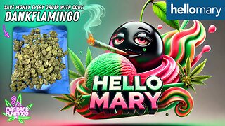 Smoking Up Some Black Cherry Gelato from Shop Hello Mary! Mrs Dank Flamingo Review!!