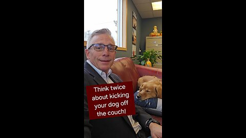 Think twice about kicking your dog off the couch!