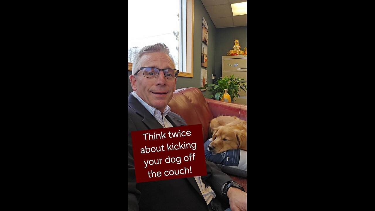 Think twice about kicking your dog off the couch!