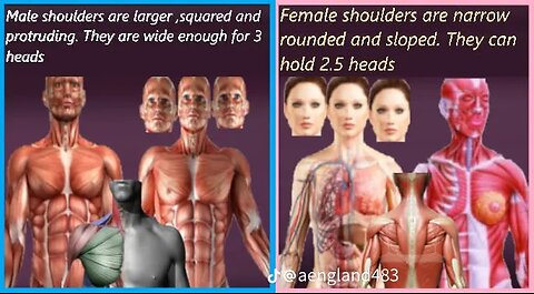 Some Reality TV Couples Shows = ALL TRANNIES !! ??