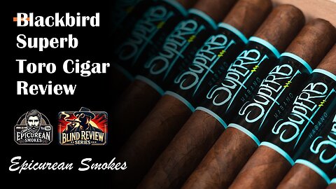 Blackbird Superb Toro Cigar Review - Blind Cigar Review Series