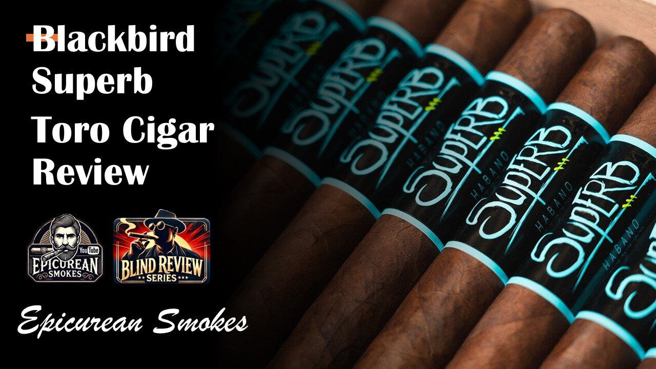 Blackbird Superb Toro Cigar Review - Blind Cigar Review Series