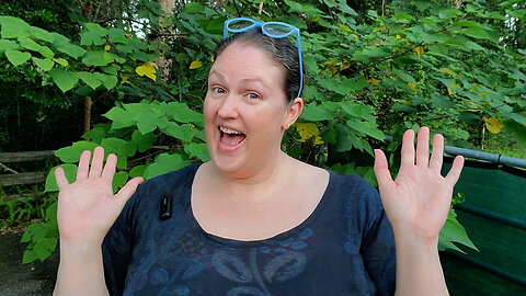 What Does It Mean to Trust When You Don't Know? (Part 3) ✨