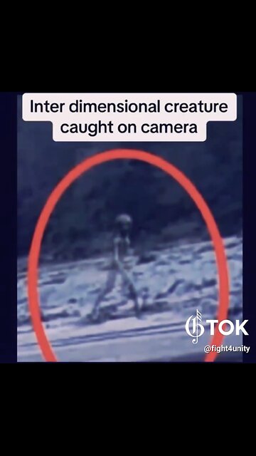 GREY-EXTRATERRESTRIAL-ALIEN🌎🧗‍♂️👽📸CAUGHT ON CAMERA IN BOLIVIA🇧🇴🏕️👽📸💫