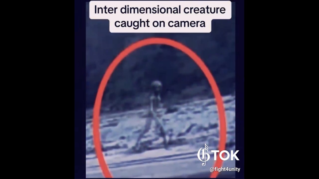 GREY-EXTRATERRESTRIAL-ALIEN🌎🧗‍♂️👽📸CAUGHT ON CAMERA IN BOLIVIA🇧🇴🏕️👽📸💫