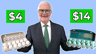 STOP Wasting Money on Expensive Eggs Until You See This!