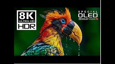 Incredible 8K Videos | Special Dolby Vision HDR 8K 120fps