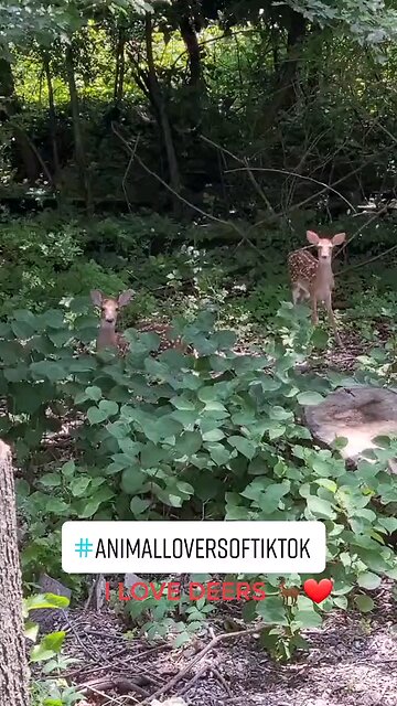 God's beautiful creation