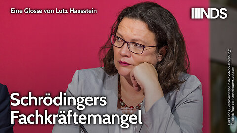 Schrödingers Fachkräftemangel | Lutz Hausstein | NDS-Podcast