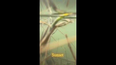 sunset on the lake