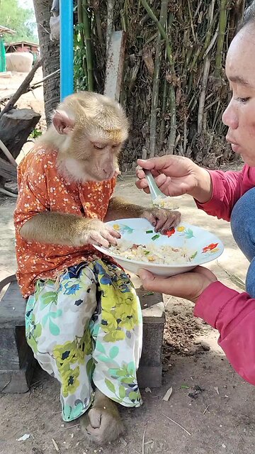 Amazing Best SokYalla, OG, Pao & Mom Are Famous Job Best SokYaa, OG, Pao & Mom Are Famous Around Th