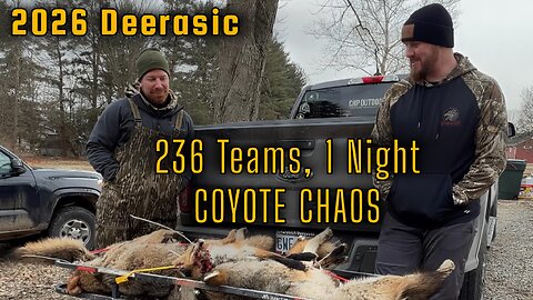 One-Night Coyote Tournament Grind | 4 Coyotes & a Fox | Deerassic Classic 2026