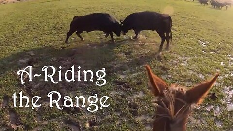 A-Riding the Range - More Music at: https://javelin1969.bandcamp.com/