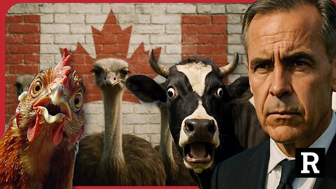 Canadians have had ENOUGH