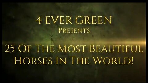 25 MOST BEAUTIFUL HORSES IN THE WORLD 💖