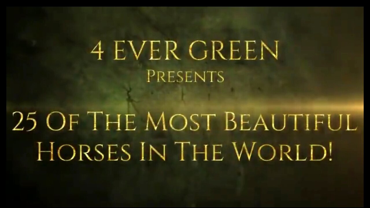 25 MOST BEAUTIFUL HORSES IN THE WORLD 💖