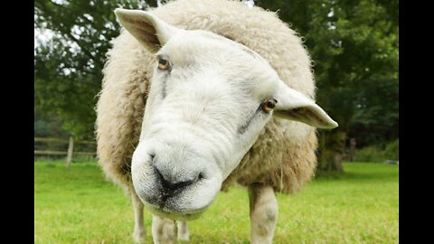 The Media In This Country Have Taught The American People To Know Their Place