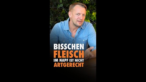 🐶🐾 Ein bisschen Fleisch im Napf ist nicht artgerecht!