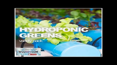 All-in-One Hydroponic Greens Variety Pack – Seeds Review