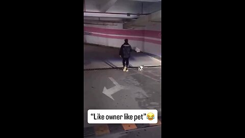 Like owner like Pet