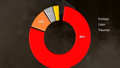 Causas Mortis nos Incêndios