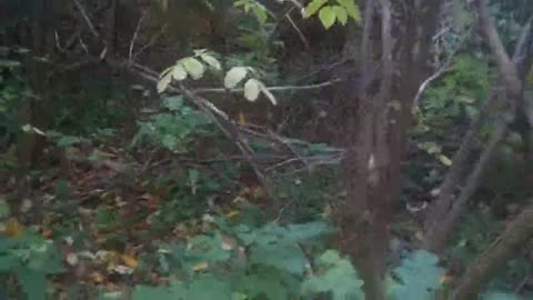 Attack Of Little Jigsaw