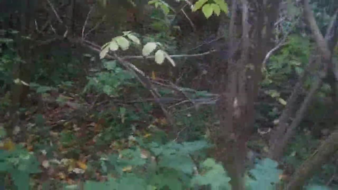 Attack Of Little Jigsaw