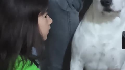 Dog and Girl