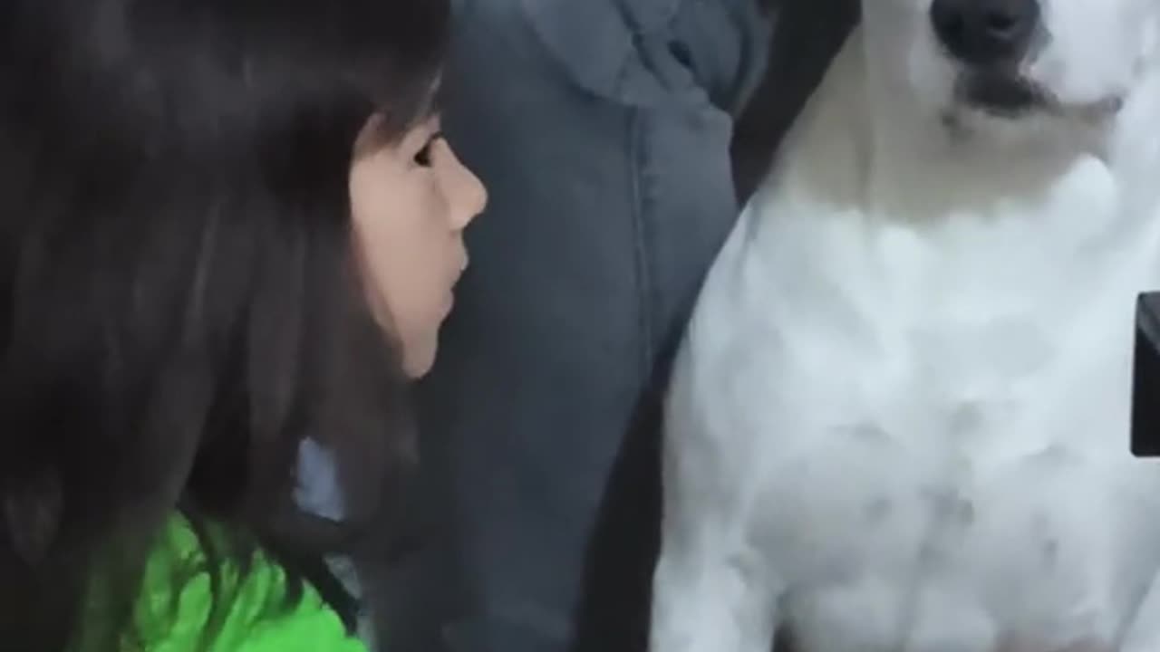 Dog and Girl