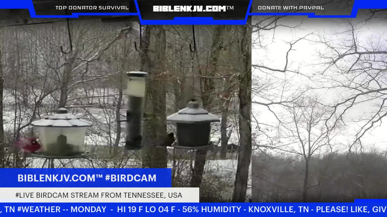BIBLENKJV.COM™ 1/26/2026 #LIVE #BIRDCAM #WEATHER