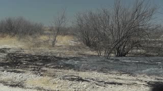 Namibia official says tourism to 'recover' after national park fires