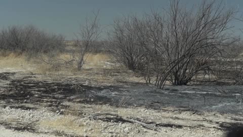 Namibia official says tourism to 'recover' after national park fires