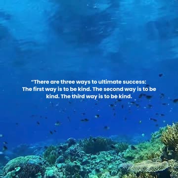 Success is peace of mind ...