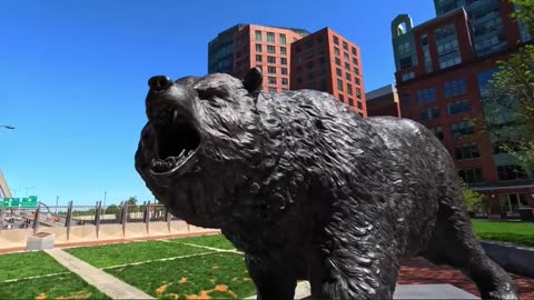 NO SLEEP AT THE SHOW