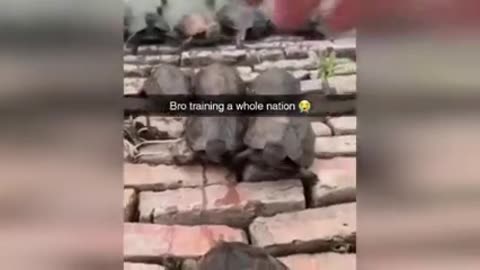 YOU LAUGH TWO TIMES 😂🤣 YOU RESTART