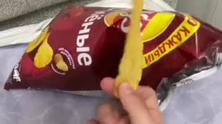 😂🤯 You Won't Believe How They Eat That! | FunFM