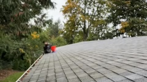 Roof Cleaning