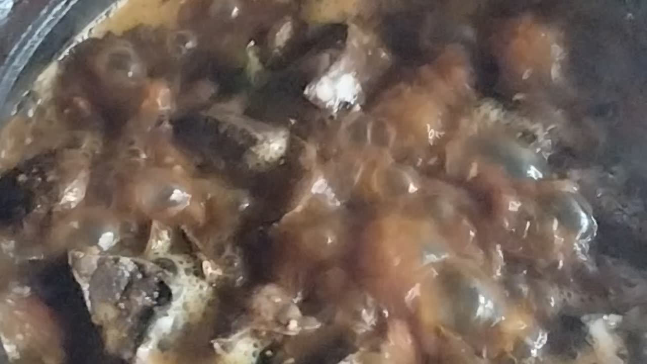 Pork Curry