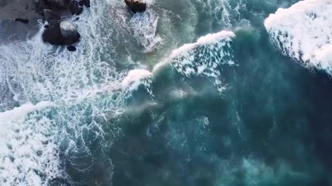 Scofield Bible: History & Who Funded It