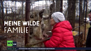 RT DE LIVE-TV