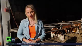 RT DE LIVE-TV