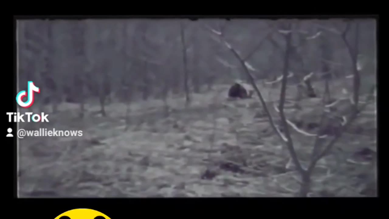 The Gable film of the dogman