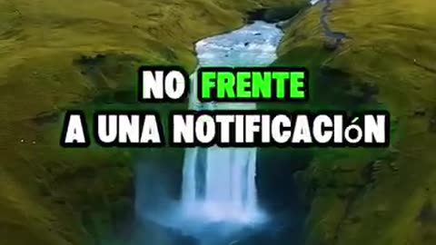 Tu Actitud Habla Cuando Tú Callas: Las 15 Reglas Secretas de la Verdadera Educación.✍️👀