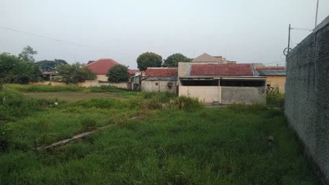 morning view near my house