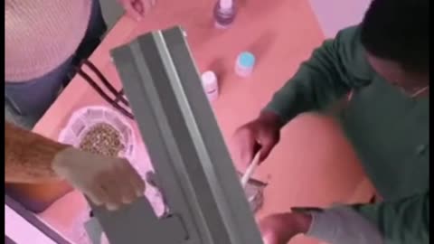 Greek Gods as Modern Teachers: From Gymnastics to Agriculture